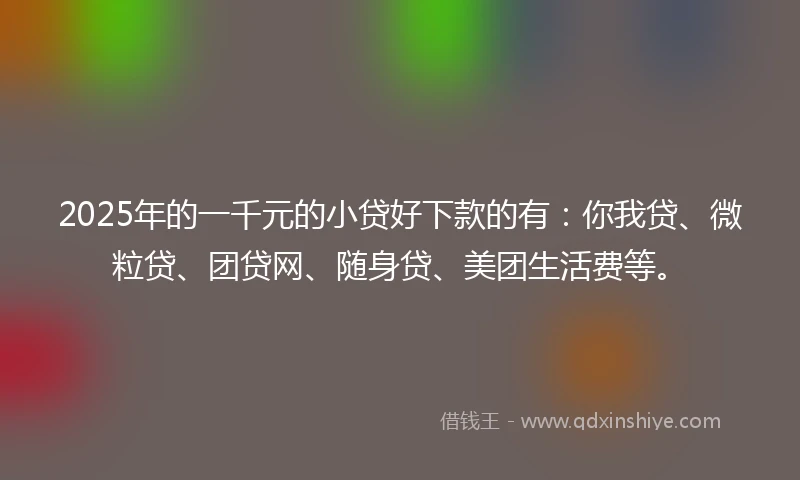 2025年的一千元的小贷好下款的有：你我贷、微粒贷、团贷网、随身贷、美团生活费等。