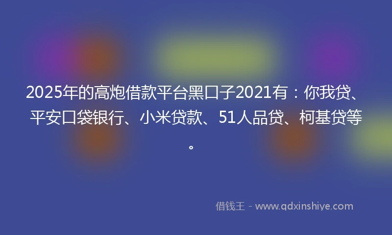 2025年的高炮借款平台黑口子2021有：你我贷、平安口袋银行、小米贷款、51人品贷、柯基贷等。