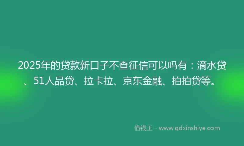 2025年的贷款新口子不查征信可以吗有：滴水贷、51人品贷、拉卡拉、京东金融、拍拍贷等。