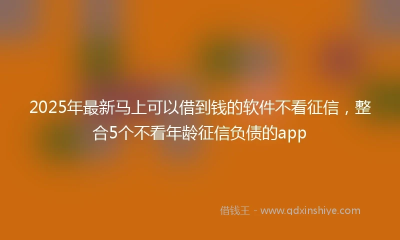 2025年最新马上可以借到钱的软件不看征信，整合5个不看年龄征信负债的app