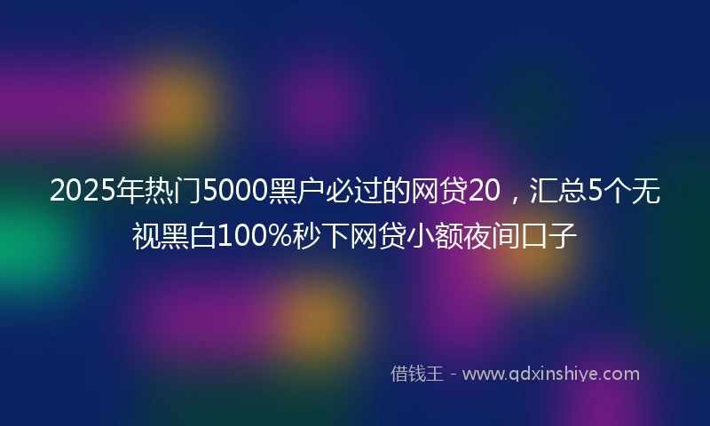 2025年热门5000黑户必过的网贷20，汇总5个无视黑白100%秒下网贷小额夜间口子