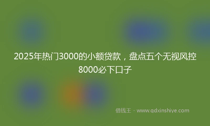 2025年热门3000的小额贷款，盘点五个无视风控8000必下口子