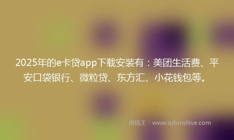 2025年的e卡贷app下载安装有：美团生活费、平安口袋银行、微粒贷、东方汇、小花钱包等。