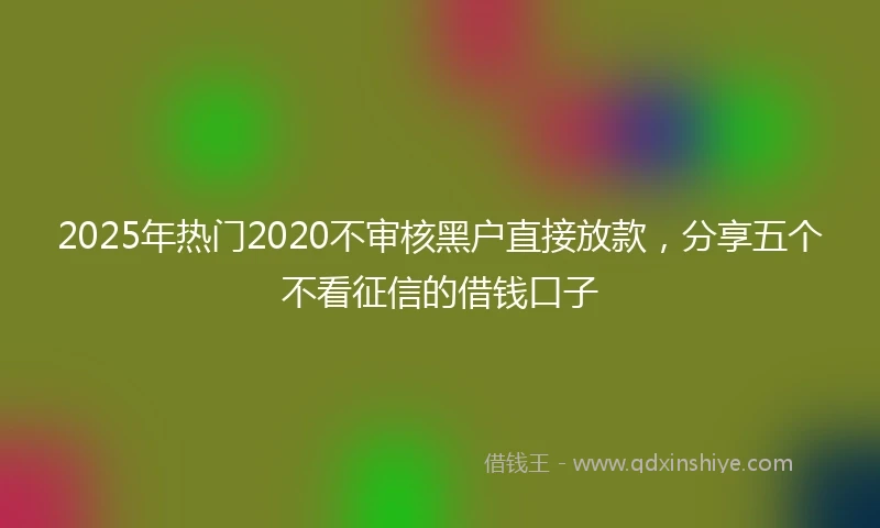 2025年热门2020不审核黑户直接放款，分享五个不看征信的借钱口子