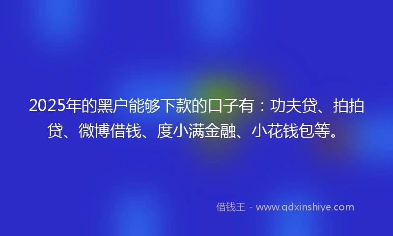 2025年的黑户能够下款的口子有：功夫贷、拍拍贷、微博借钱、度小满金融、小花钱包等。