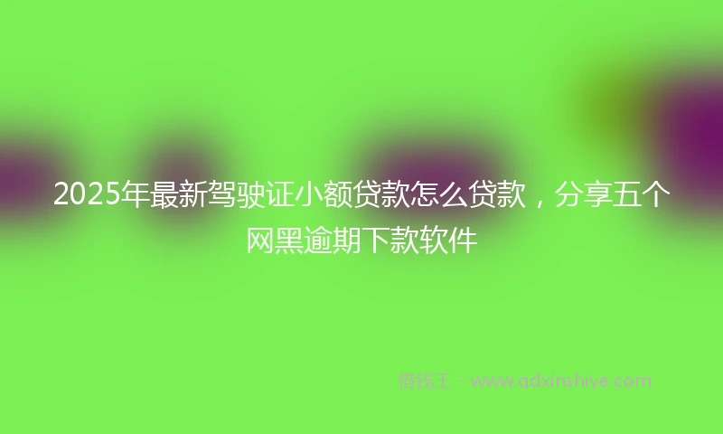 2025年最新驾驶证小额贷款怎么贷款，分享五个网黑逾期下款软件