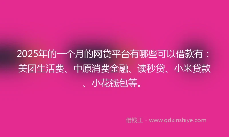 2025年的一个月的网贷平台有哪些可以借款有：美团生活费、中原消费金融、读秒贷、小米贷款、小花钱包等。