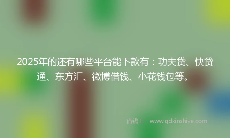 2025年的还有哪些平台能下款有：功夫贷、快贷通、东方汇、微博借钱、小花钱包等。