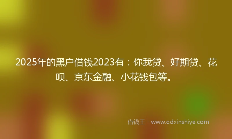2025年的黑户借钱2023有：你我贷、好期贷、花呗、京东金融、小花钱包等。