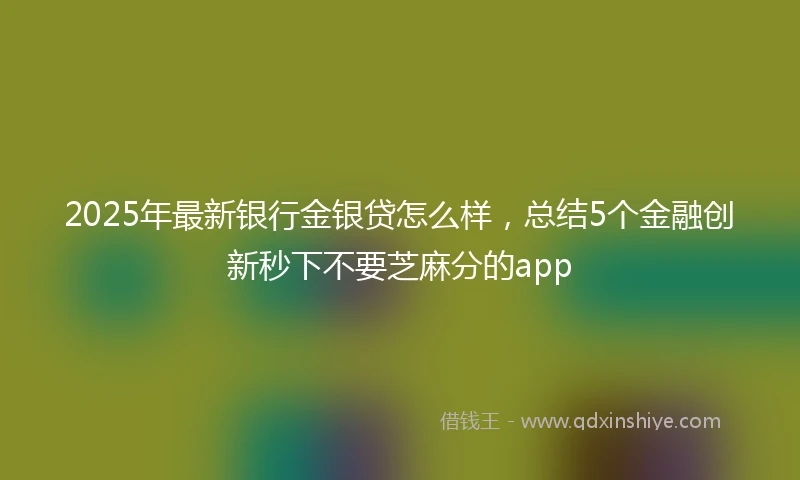 2025年最新银行金银贷怎么样，总结5个金融创新秒下不要芝麻分的app