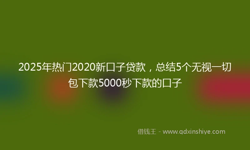 2025年热门2020新口子贷款，总结5个无视一切包下款5000秒下款的口子