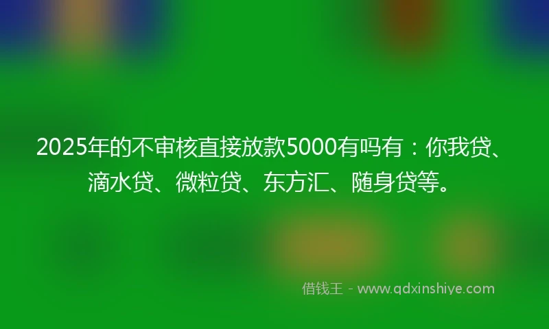 2025年的不审核直接放款5000有吗有：你我贷、滴水贷、微粒贷、东方汇、随身贷等。