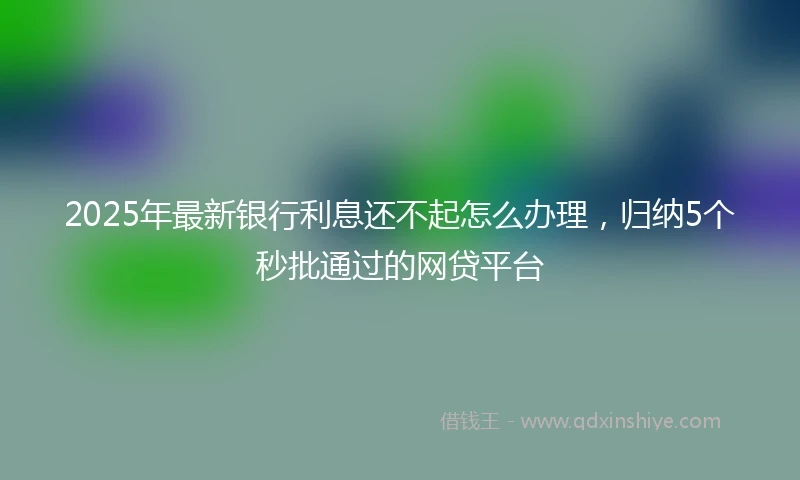 2025年最新银行利息还不起怎么办理，归纳5个秒批通过的网贷平台