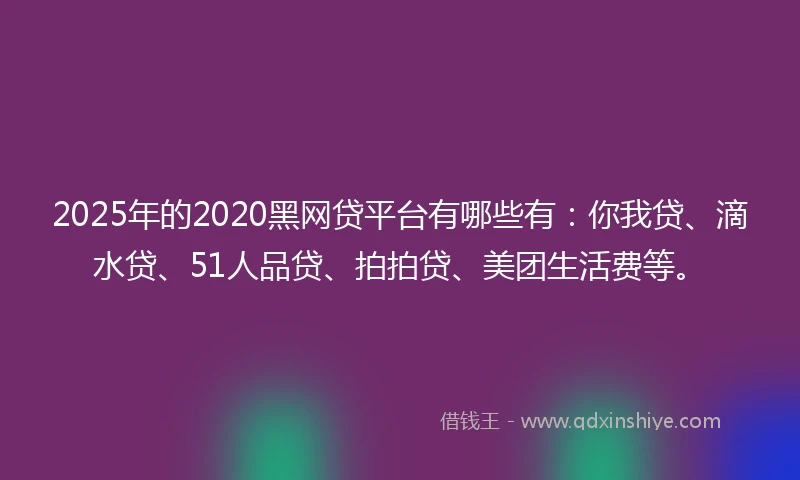 2025年的2020黑网贷平台有哪些有：你我贷、滴水贷、51人品贷、拍拍贷、美团生活费等。