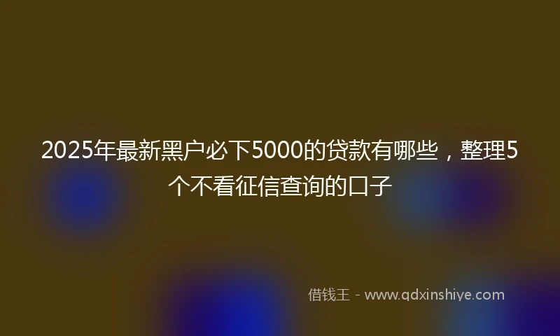 2025年最新黑户必下5000的贷款有哪些，整理5个不看征信查询的口子
