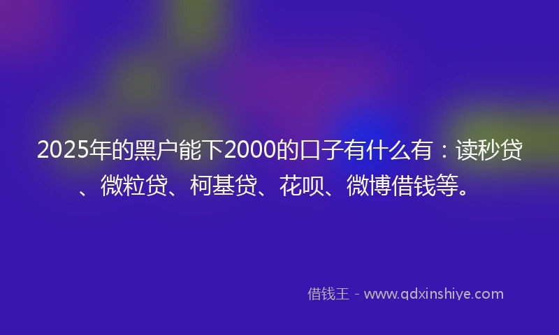 2025年的黑户能下2000的口子有什么有：读秒贷、微粒贷、柯基贷、花呗、微博借钱等。