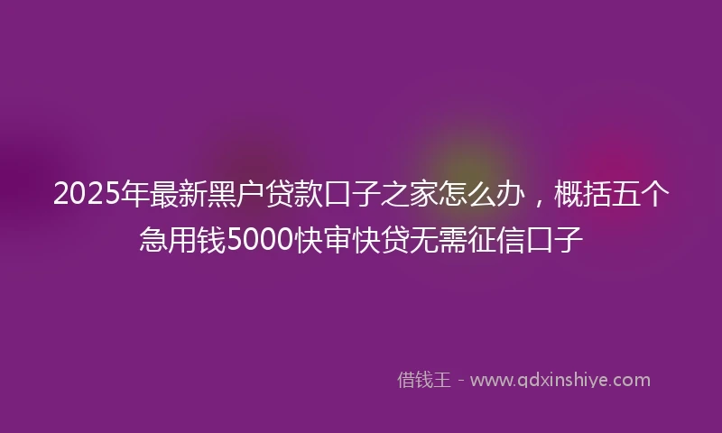2025年最新黑户贷款口子之家怎么办，概括五个急用钱5000快审快贷无需征信口子