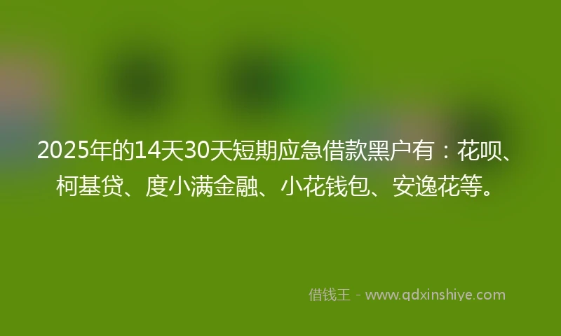 2025年的14天30天短期应急借款黑户有：花呗、柯基贷、度小满金融、小花钱包、安逸花等。
