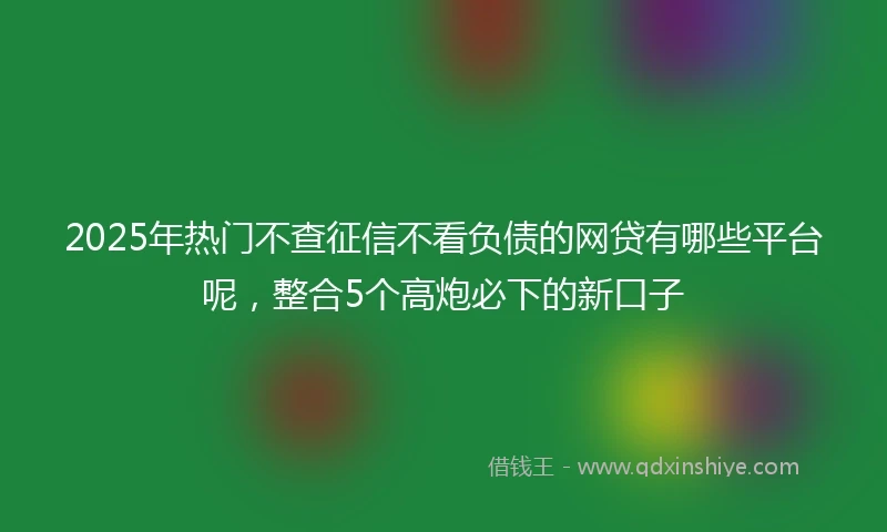 2025年热门不查征信不看负债的网贷有哪些平台呢，整合5个高炮必下的新口子