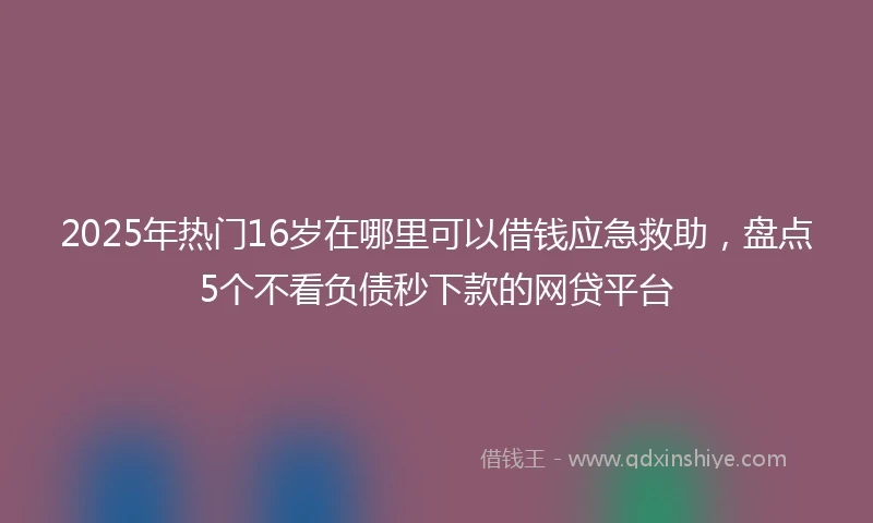 2025年热门16岁在哪里可以借钱应急救助，盘点5个不看负债秒下款的网贷平台
