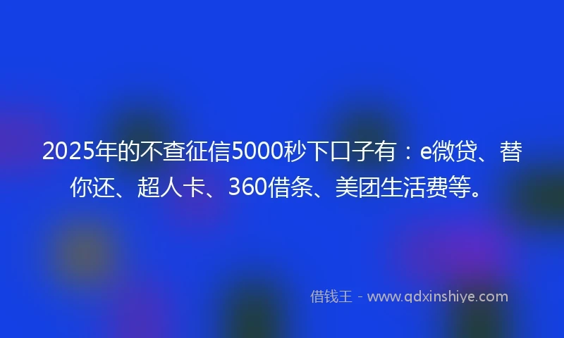 2025年的不查征信5000秒下口子有：e微贷、替你还、超人卡、360借条、美团生活费等。
