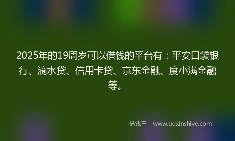 2025年的19周岁可以借钱的平台有：平安口袋银行、滴水贷、信用卡贷、京东金融、度小满金融等。