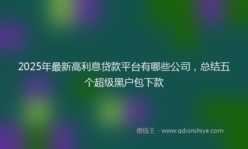 2025年最新高利息贷款平台有哪些公司，总结五个超级黑户包下款