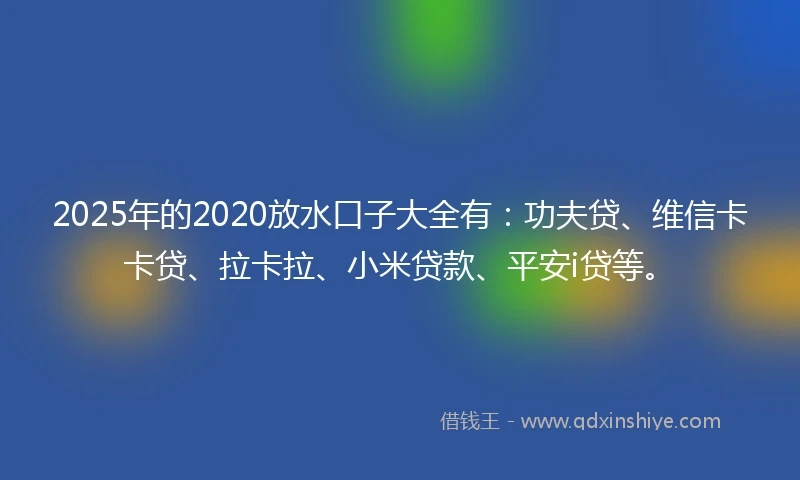 2025年的2020放水口子大全有：功夫贷、维信卡卡贷、拉卡拉、小米贷款、平安i贷等。