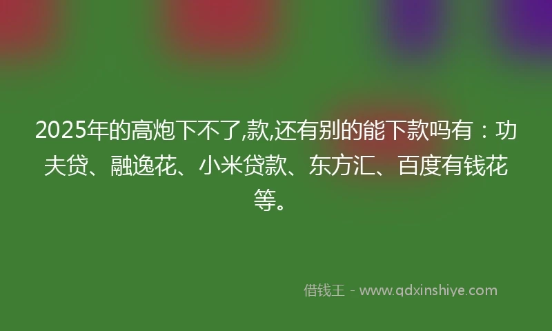 2025年的高炮下不了,款,还有别的能下款吗有：功夫贷、融逸花、小米贷款、东方汇、百度有钱花等。
