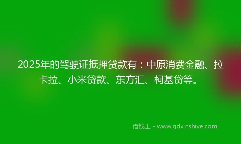 2025年的驾驶证抵押贷款有：中原消费金融、拉卡拉、小米贷款、东方汇、柯基贷等。