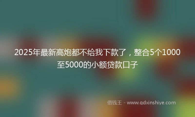2025年最新高炮都不给我下款了，整合5个1000至5000的小额贷款口子