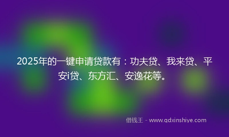 2025年的一键申请贷款有：功夫贷、我来贷、平安i贷、东方汇、安逸花等。