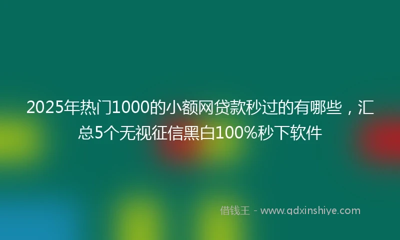 2025年热门1000的小额网贷款秒过的有哪些，汇总5个无视征信黑白100%秒下软件