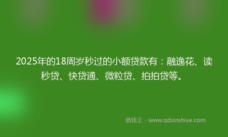 2025年的18周岁秒过的小额贷款有：融逸花、读秒贷、快贷通、微粒贷、拍拍贷等。