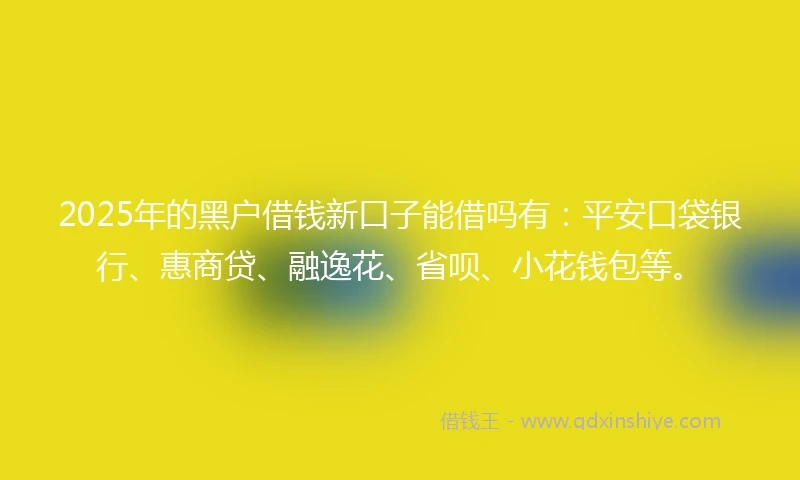 2025年的黑户借钱新口子能借吗有：平安口袋银行、惠商贷、融逸花、省呗、小花钱包等。