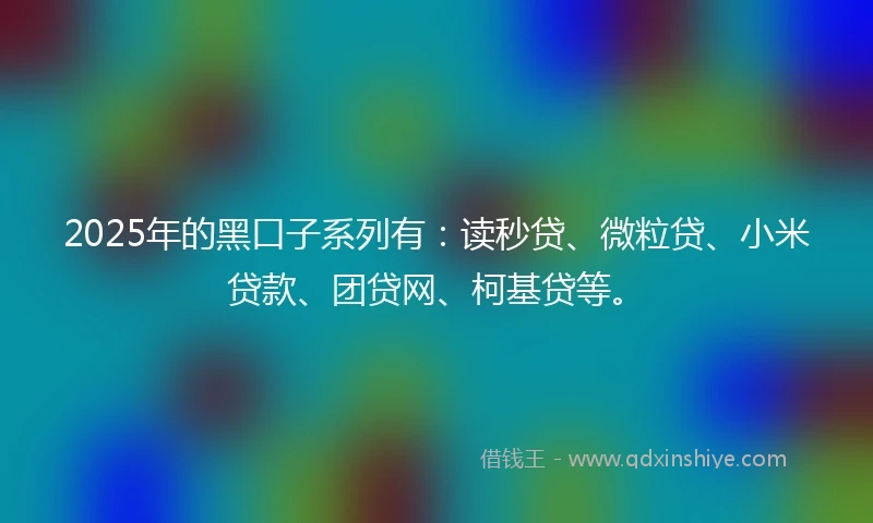 2025年的黑口子系列有：读秒贷、微粒贷、小米贷款、团贷网、柯基贷等。