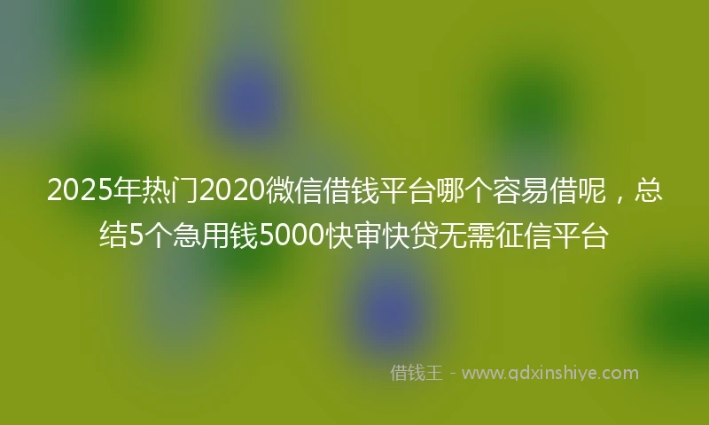 2025年热门2020微信借钱平台哪个容易借呢，总结5个急用钱5000快审快贷无需征信平台