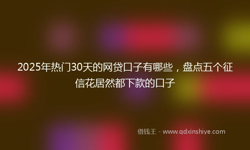 2025年热门30天的网贷口子有哪些，盘点五个征信花居然都下款的口子