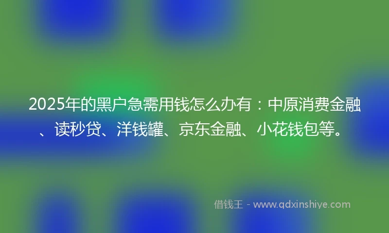 2025年的黑户急需用钱怎么办有：中原消费金融、读秒贷、洋钱罐、京东金融、小花钱包等。