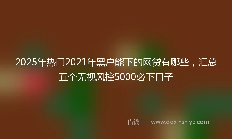 2025年热门2021年黑户能下的网贷有哪些，汇总五个无视风控5000必下口子