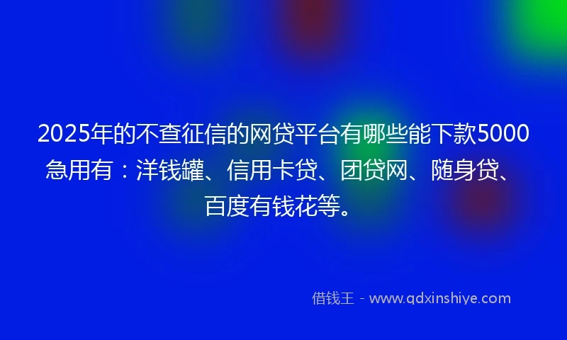 2025年的不查征信的网贷平台有哪些能下款5000急用有：洋钱罐、信用卡贷、团贷网、随身贷、百度有钱花等。