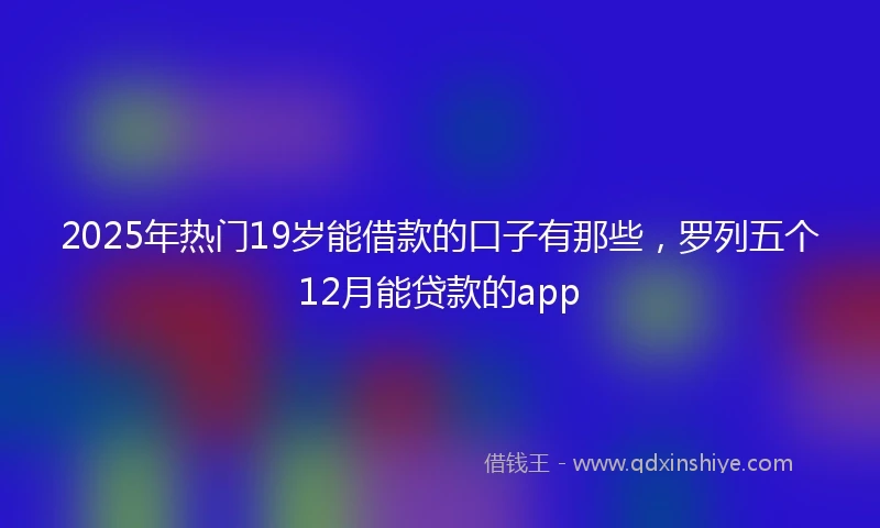 2025年热门19岁能借款的口子有那些，罗列五个12月能贷款的app