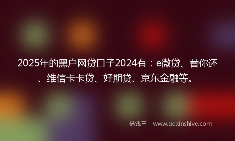 2025年的黑户网贷口子2024有：e微贷、替你还、维信卡卡贷、好期贷、京东金融等。