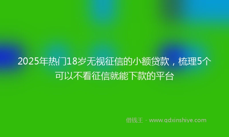 2025年热门18岁无视征信的小额贷款，梳理5个可以不看征信就能下款的平台