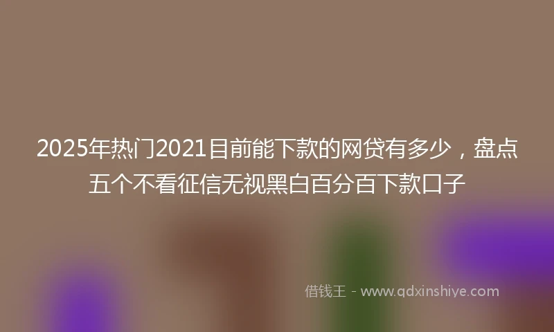 2025年热门2021目前能下款的网贷有多少，盘点五个不看征信无视黑白百分百下款口子