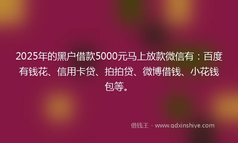 2025年的黑户借款5000元马上放款微信有：百度有钱花、信用卡贷、拍拍贷、微博借钱、小花钱包等。