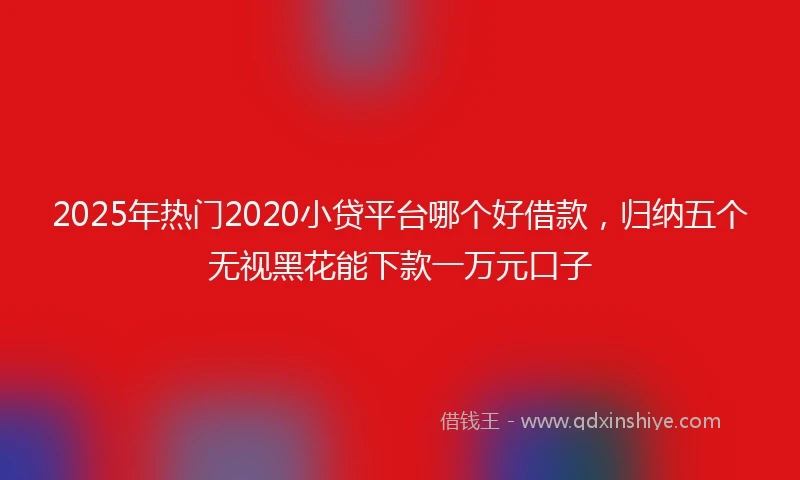 2025年热门2020小贷平台哪个好借款，归纳五个无视黑花能下款一万元口子