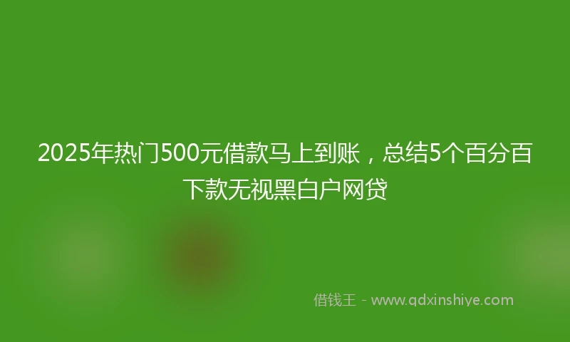 2025年热门500元借款马上到账，总结5个百分百下款无视黑白户网贷