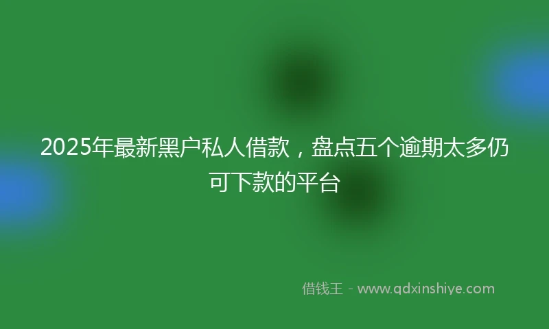 2025年最新黑户私人借款，盘点五个逾期太多仍可下款的平台