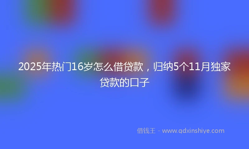 2025年热门16岁怎么借贷款，归纳5个11月独家贷款的口子